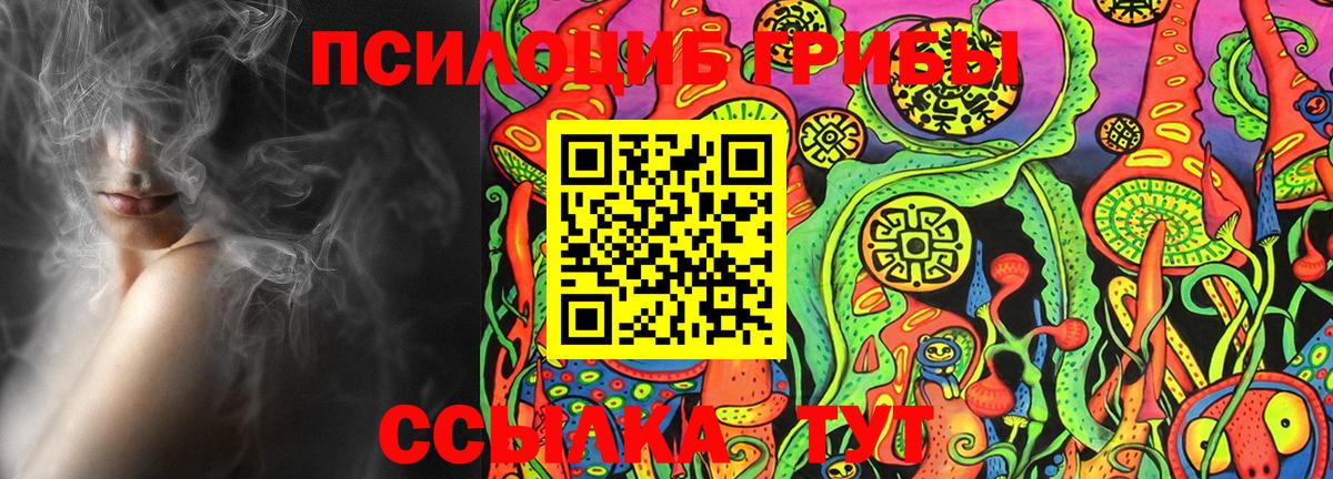 Галлюциногенные грибы Psilocybe Канаш