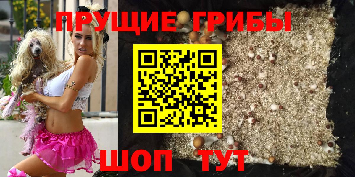Псилоцибиновые грибы Psilocybe  Вход с VPN  купить наркотик  Канаш 